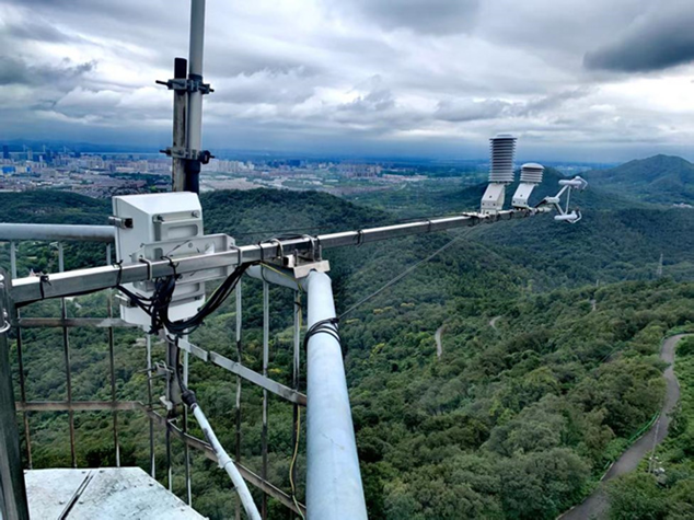日出水了特别黄的视频