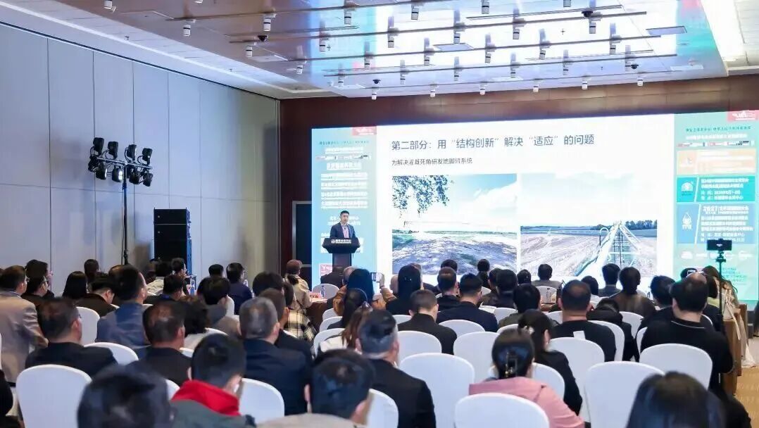 日出水了特别黄的视频