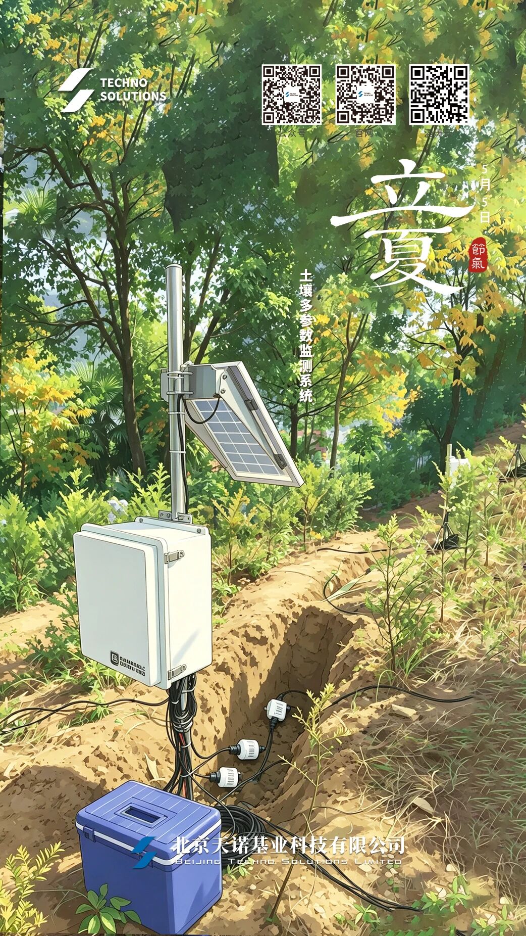 日出水了特别黄的视频