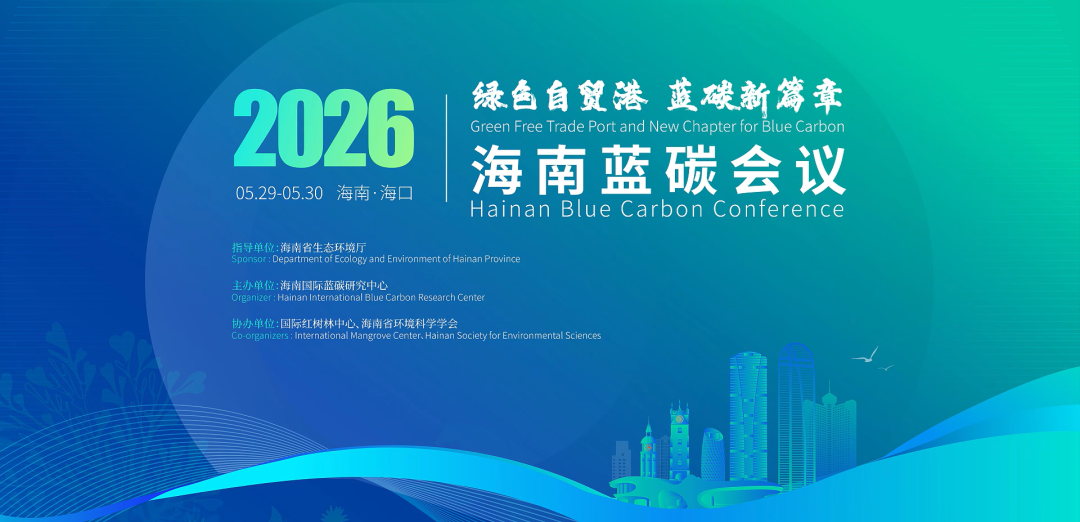 日出水了特别黄的视频